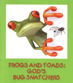 Frogs
